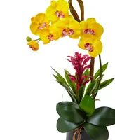 Nearly Natural Orchid & Bromeliad Artificial Arrangement in Glossy Black Cylinder Vase