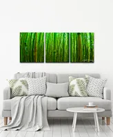 Ready2HangArt 'Maui Palms' 3-Pc. Canvas Art Print Set