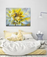 Ready2HangArt 'Painted Petals Xxxvii' Canvas Wall Decor