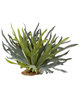 Nearly Natural 2-Pc. 21" Staghorn Fern Artificial Plant Set