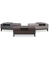 Closeout! Sanwin Bench