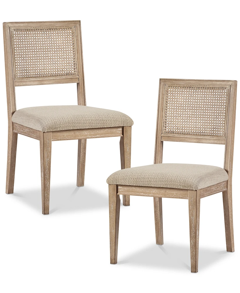 Leon Dining Side Chair (Set of 2)