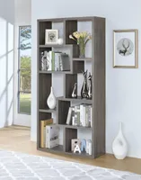 Olinville Contemporary Bookcase