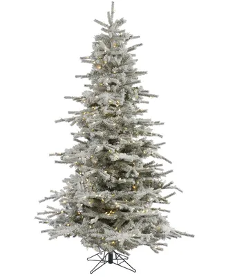 Vickerman 7.5' Flocked Sierra Fir Artificial Christmas Tree with 750 Warm White Led Lights