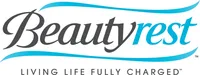 Simmons Beautyrest Hi Loft Full Size Raised Air Bed Mattress with Express Pump
