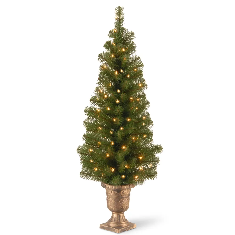 National Tree Company 4' Montclair Spruce Entrance Tree in 10" Black/Gold Plastic Pot with 50 Clear Lights