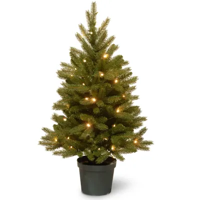 National Tree 3' Jersey Fraser Fir Tree with Battery-Operated Warm White Led Lights