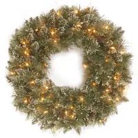 National Tree Company 30" Glittery Bristle Pine Wreath with 50 Clear Lights