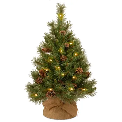 National Tree Company 3' Pine Cone Burlap Tree with 35 Warm White Battery Operated Led Lights w/ Timer
