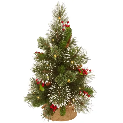 National Tree Company 18" Wintry Pine Small Tree with Cones, Red Berries and Snowflakes in Burlap Base with 15 Warm White Battery Operated Led Lights
