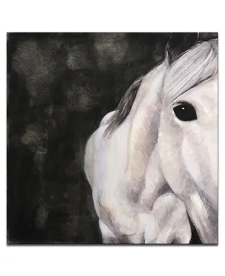 Ready2HangArt, 'Snow Horse' Canvas Wall Art