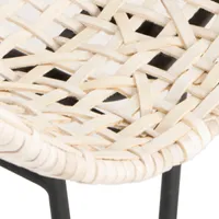 Wynona Leather Woven Dining Chair