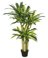 Vickerman 52" Artificial Potted Green and Yellow Real Touch Dracaena Tree