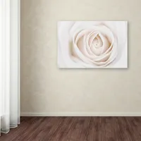 Cora Niele 'White Rose' Canvas Art, 12" x 19"