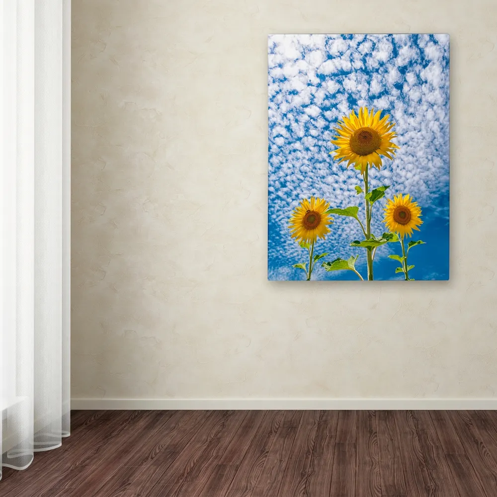 Michael Blanchette Photography 'Sunflower Triad' Canvas Art, 14" x 19"