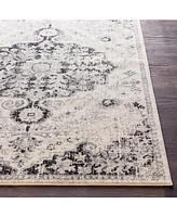 Livabliss Harput Hap-1061 Beige 2'7" x 7'3" Area Rug