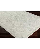 Livabliss Harput Hap-1069 Light Gray 2'7" x 7'3" Area Rug