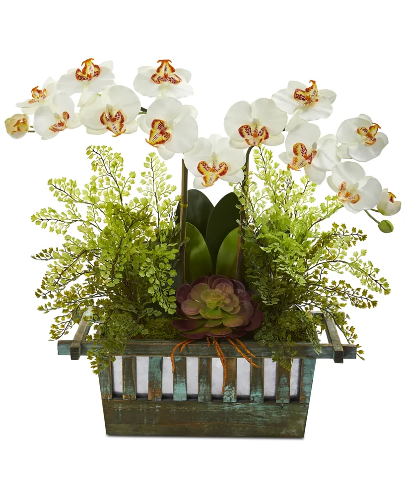 Nearly Natural Orchid, Succulent & Maidenhair Fern Artificial Arrangement