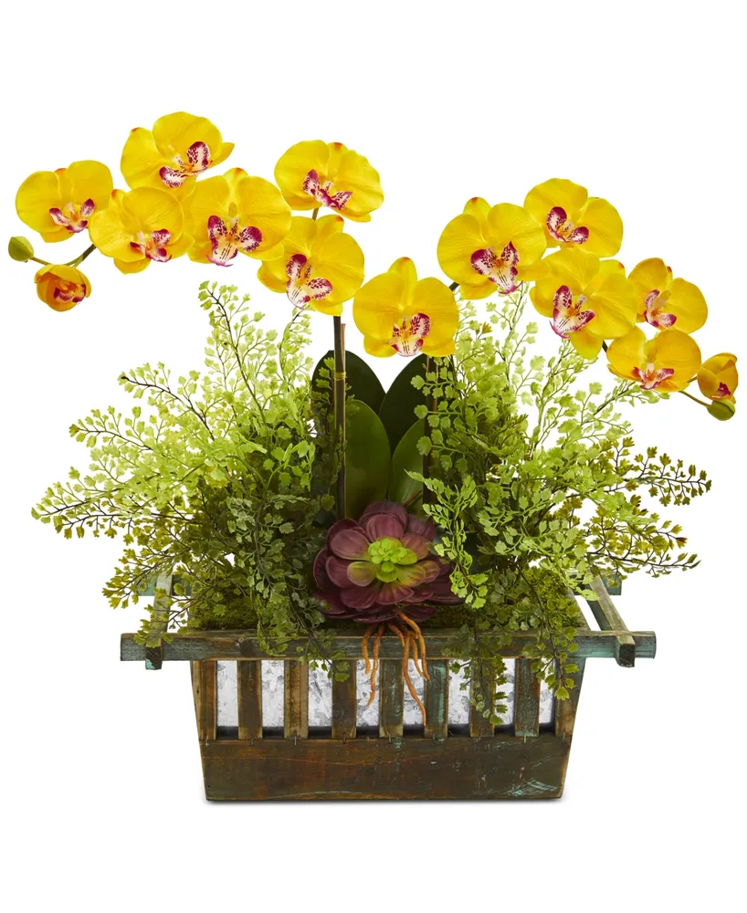 Nearly Natural Orchid, Succulent & Maidenhair Fern Artificial Arrangement