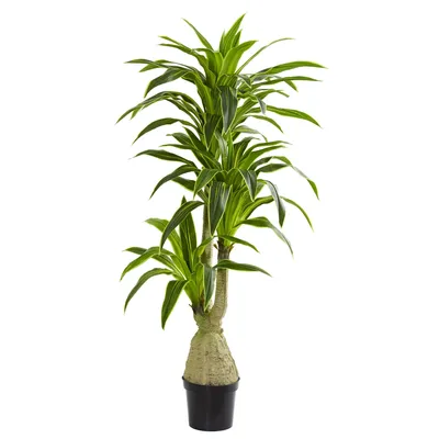 Nearly Natural Dracaena Artificial Plant