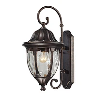 1 light outdoor wall mount in Regal Bronze