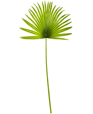 Nearly Natural 33" Fan Palm Artificial Spray Plant, Set of 6
