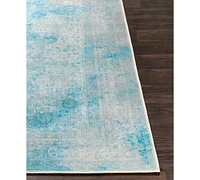 Livabliss Amelie Aml-2305 Sky Blue 2' x 3' Area Rug