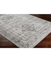 Livabliss Monte Carlo Mnc-2314 2'7" x 7'3" Area Rug