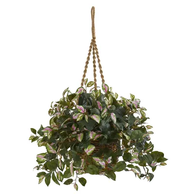 Nearly Natural Hoya Artificial Plant Hanging Basket