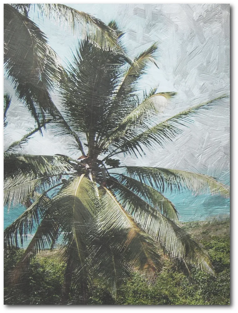 Courtside Market Coconut Beach Gallery-Wrapped Canvas Wall Art - 16" x 20"