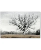 Courtside Market Country tree Gallery-Wrapped Canvas Wall Art - 24" x 36"