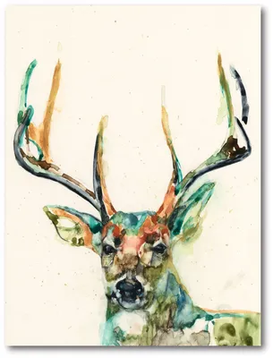 Courtside Market Watercolor buck Gallery-Wrapped Canvas Wall Art - 18" x 24"