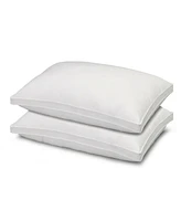 Ella Jayne Gusseted Soft Plush Down Alternative Stomach Sleeper 2-Pack Pillow