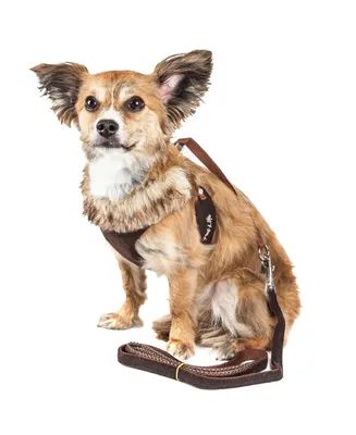 Pet Life Luxe 'Furracious' 2-in-1 Dog Harness Leash with Removable Faux Fur Collar