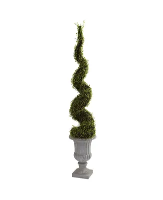 Nearly Natural Mohlenbechia Spiral Tree with Decorative Urn