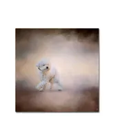 Jai Johnson 'Bichon On The Go' Canvas Art - 18" x 18" x 2"