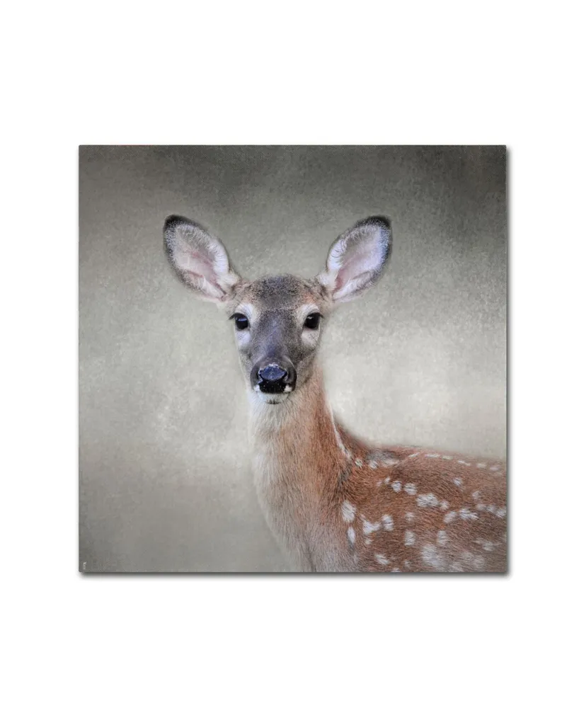 Jai Johnson 'Little Miss Lashes White Tailed Fawn' Canvas Art - 24" x 24" x 2"