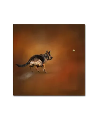 Jai Johnson 'Gimme That Ball German Shepherd' Canvas Art - 24" x 24" x 2"