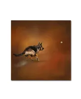 Jai Johnson 'Gimme That Ball German Shepherd' Canvas Art - 24" x 24" x 2"