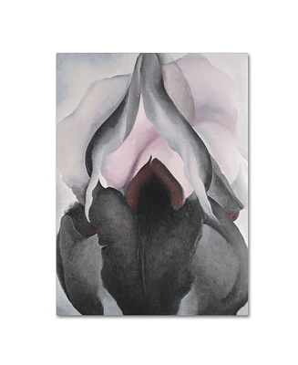 Georgia O'Keefe 'Black Iris' Canvas Art - 32" x 24" x 2"