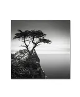 Dave MacVicar 'The Lone Cypress' Canvas Art - 18" x 18" x 2"