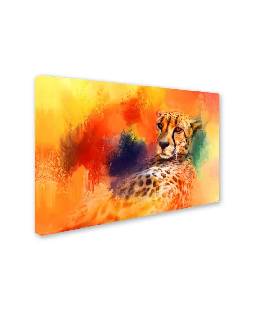 Jai Johnson 'Colorful Expressions Cheetah' Canvas Art - 24" x 16" x 2"