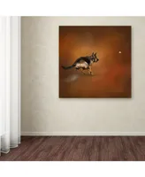 Jai Johnson 'Gimme That Ball German Shepherd' Canvas Art - 24" x 24" x 2"