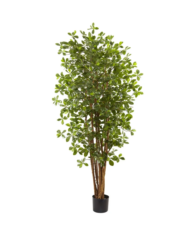 5' Black Bamboo Artificial Tree in White Oval Planter-JCPenney, Color: Green