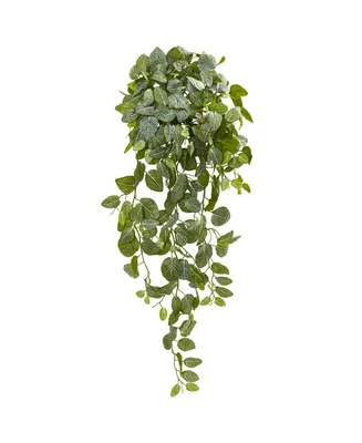 Nearly Natural 36" Fittonia Hanging Bush Artificial Plant (Set of 2) (Real Touch)