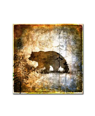lightbox Journal 'High Country Bear' Canvas Art - 24" x 24" x 2"
