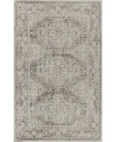 D Style Zandra Mza4 3'3" x 5'3" Area Rug