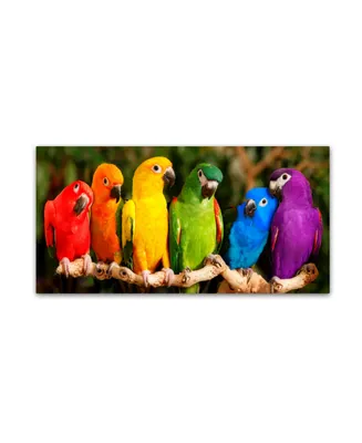 Mike Jones Photo 'Rainbow Parrots' Canvas Art