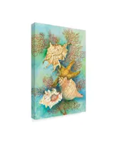 Joanne Porter 'Shells In The Deep Green Sea' Canvas Art - 24" x 16" x 2"