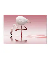 Doris Reindl 'Flamingo' Canvas Art - 24" x 16" x 2"